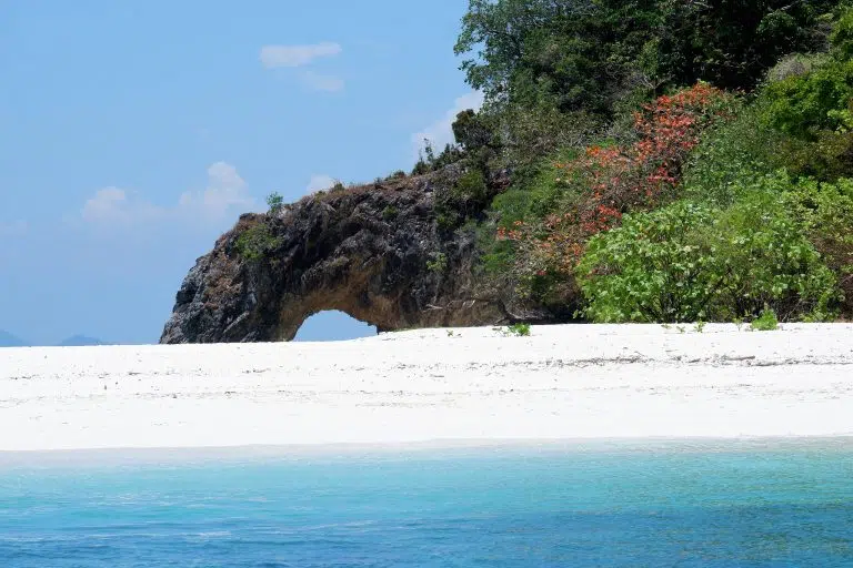 Pak Bara